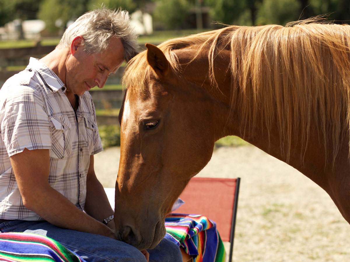 Equine Coaching